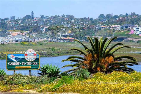 cardiff by the sea california.